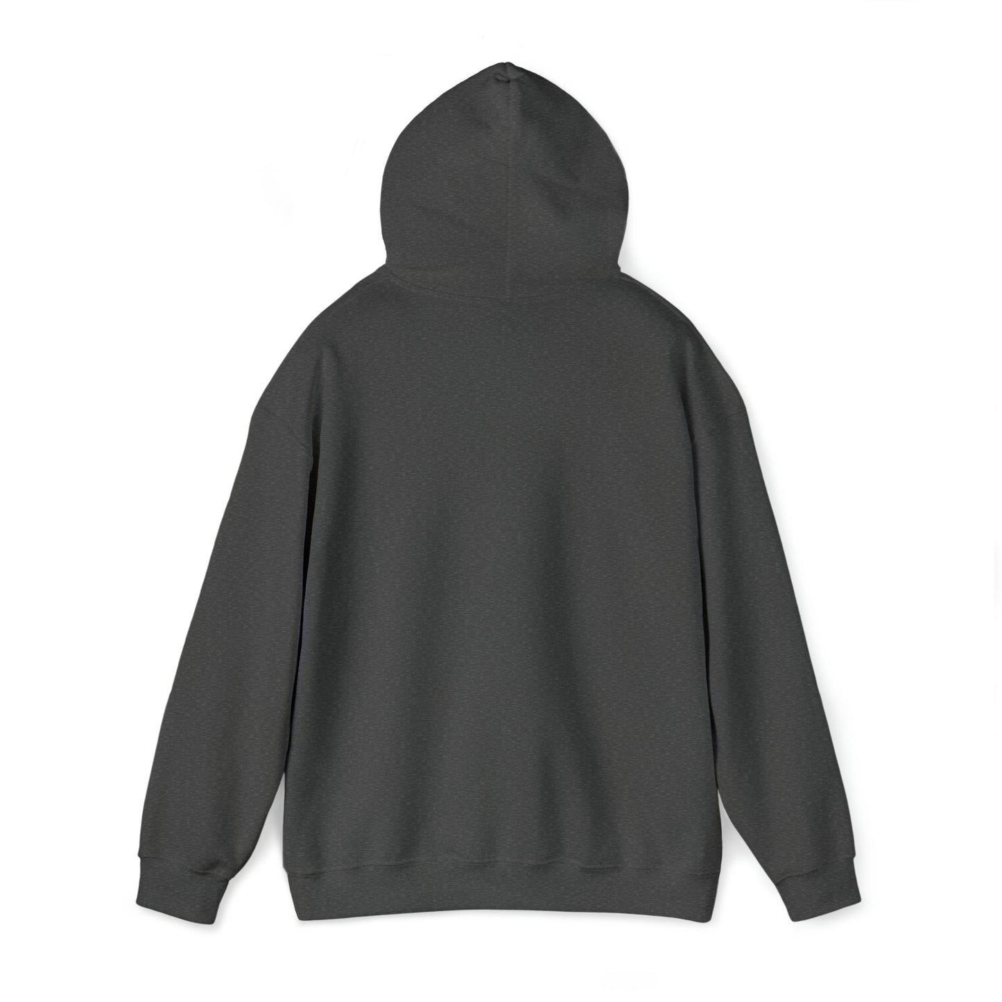 figure skating Hooded Sweatshirt